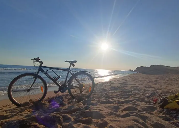 Appartamento Il Geco 2