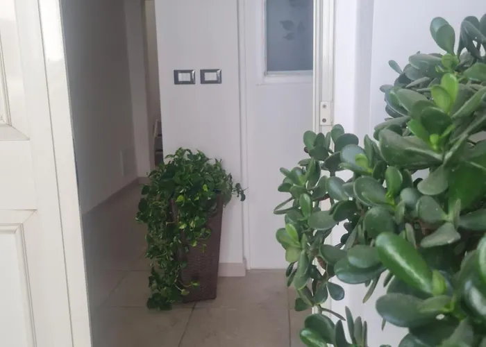 Appartamento Il Geco 2 *